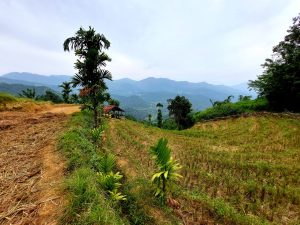 Wie ist das Wetter in Sri Lanka?