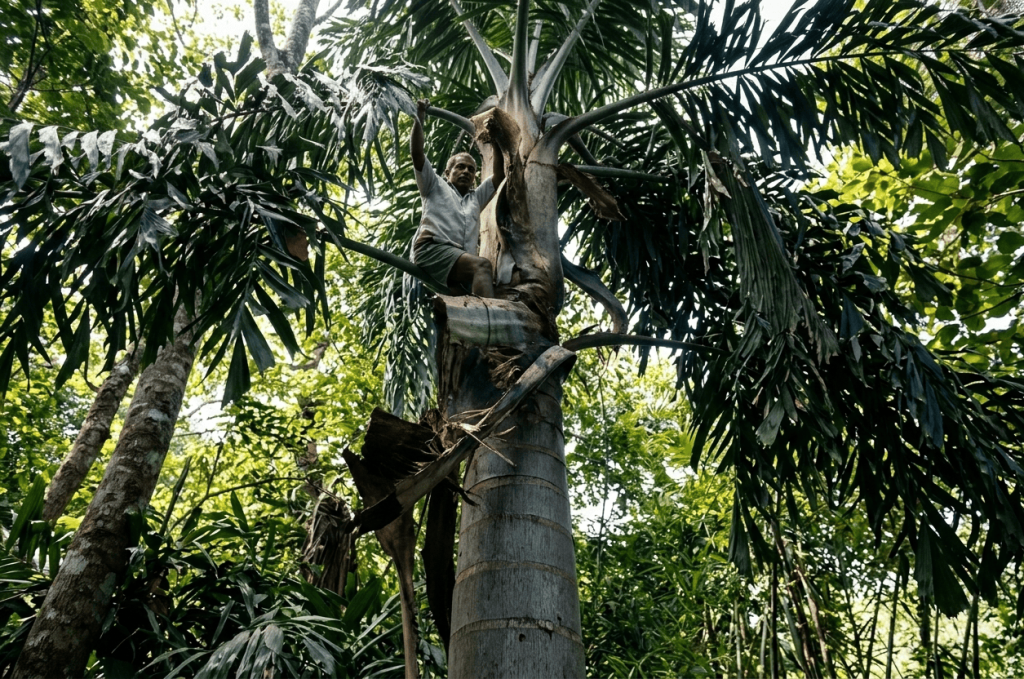 7 Days Sri Lanka Photography Tour