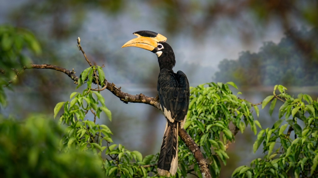 7 Days Sri Lanka Photography Tour