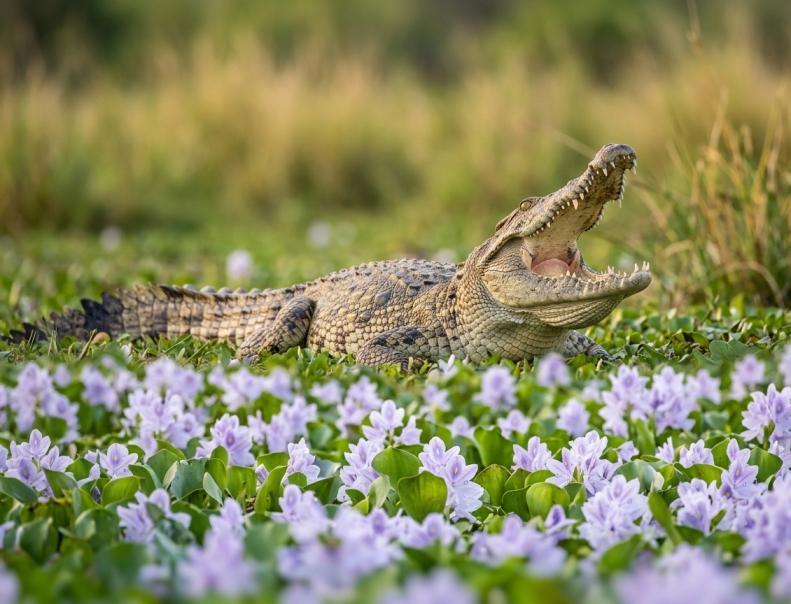 7 Days Sri Lanka Photography Tour